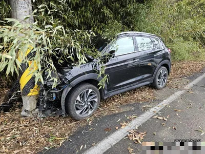 2020 Hyundai Tucson KMHJ581ABLU215831 VIN:KMHJ581ABLU215831