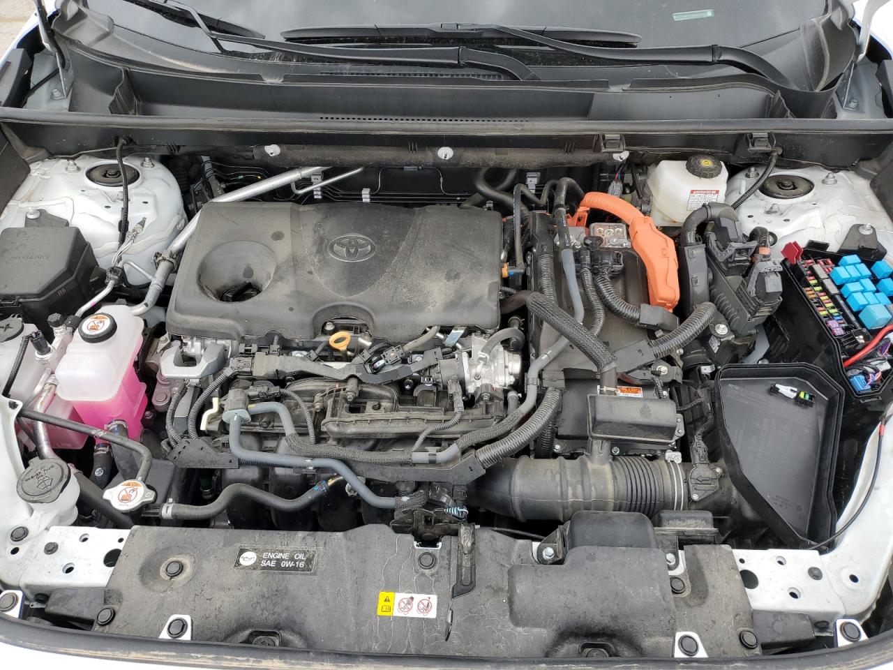 2024 TOYOTA RAV4 XLE VIN:4T3RWRFV0RU130883