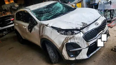 2019 Kia Sportage KNAPN813BKK739691 VIN:KNAPN813BKK739691