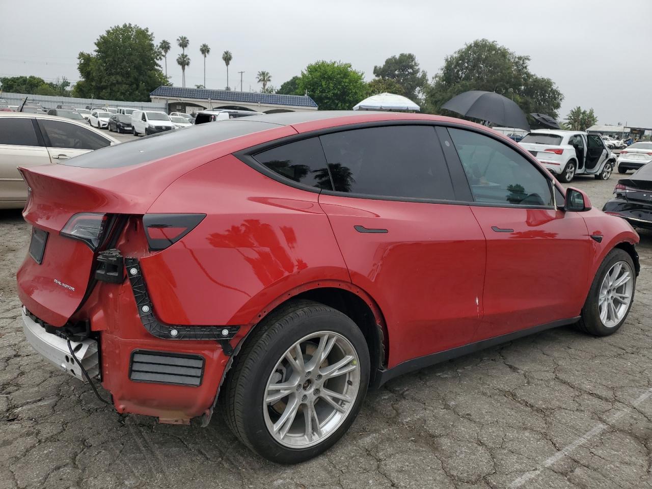 2023 TESLA MODEL Y  VIN:7SAYGDEEXPA043539