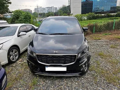 2019 Kia Carnival KNAMB81ABKS591217 VIN:KNAMB81ABKS591217