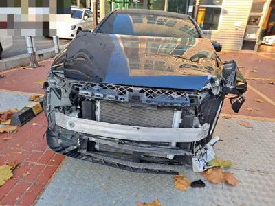 2020 Mercedes-Benz A 220 W1K3G4EB3LJ201809 VIN:W1K3G4EB3LJ201809