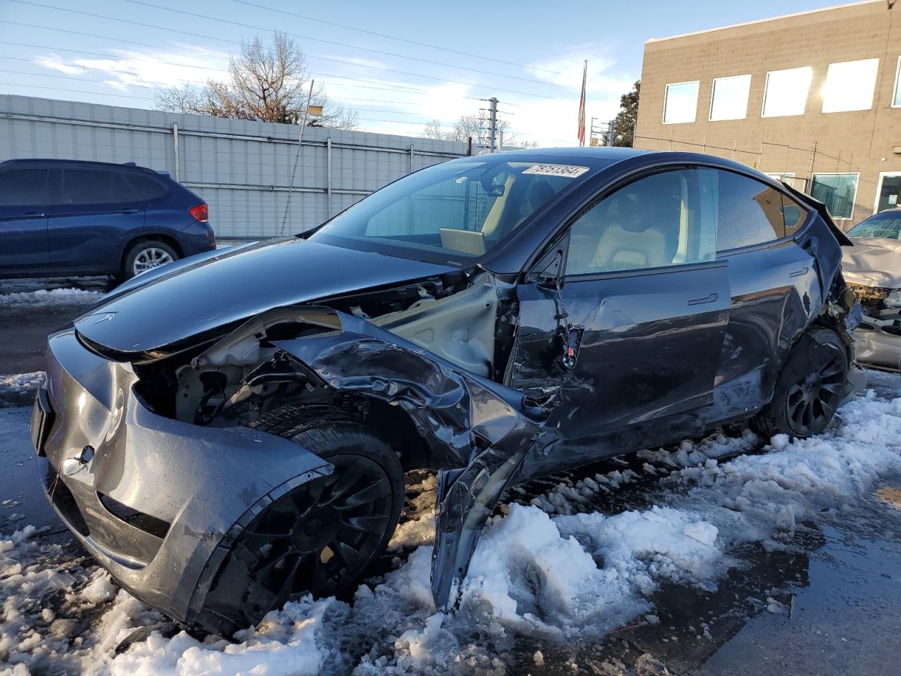 2024 TESLA MODEL Y  VIN:7SAYGDED6RF113227