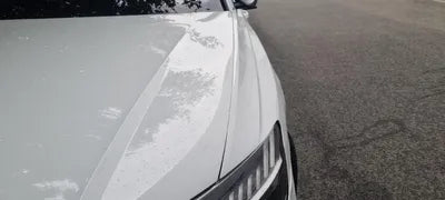2021 Audi 50 WAUZZZF12MD033806 VIN:WAUZZZF12MD033806