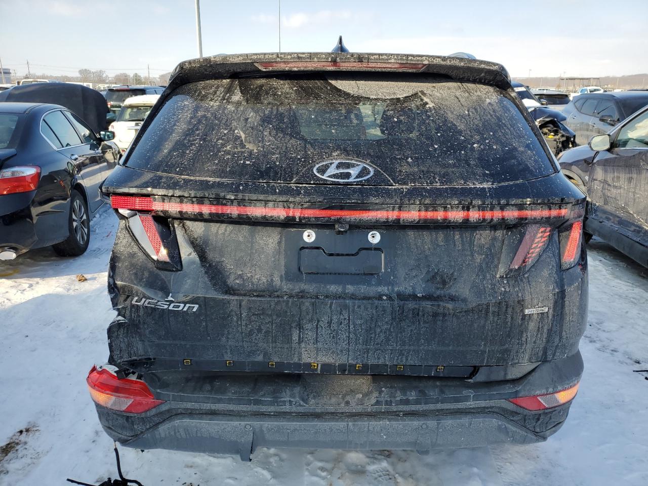 2024 HYUNDAI TUCSON LIMITED VIN:5NMJECDE8RH313744