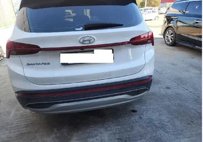 2021 Hyundai Santa FE KMHS381HGMU310393 VIN:KMHS381HGMU310393