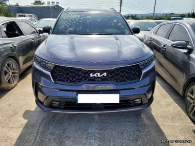 2022 Kia Sorento KNARK81BGNA118625 VIN:KNARK81BGNA118625