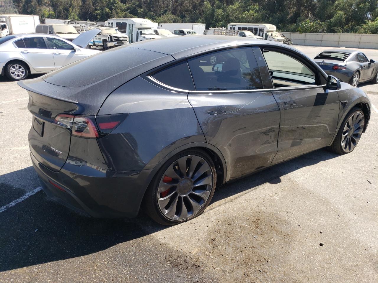 2024 TESLA MODEL Y  VIN:7SAYGDEF1RF047705