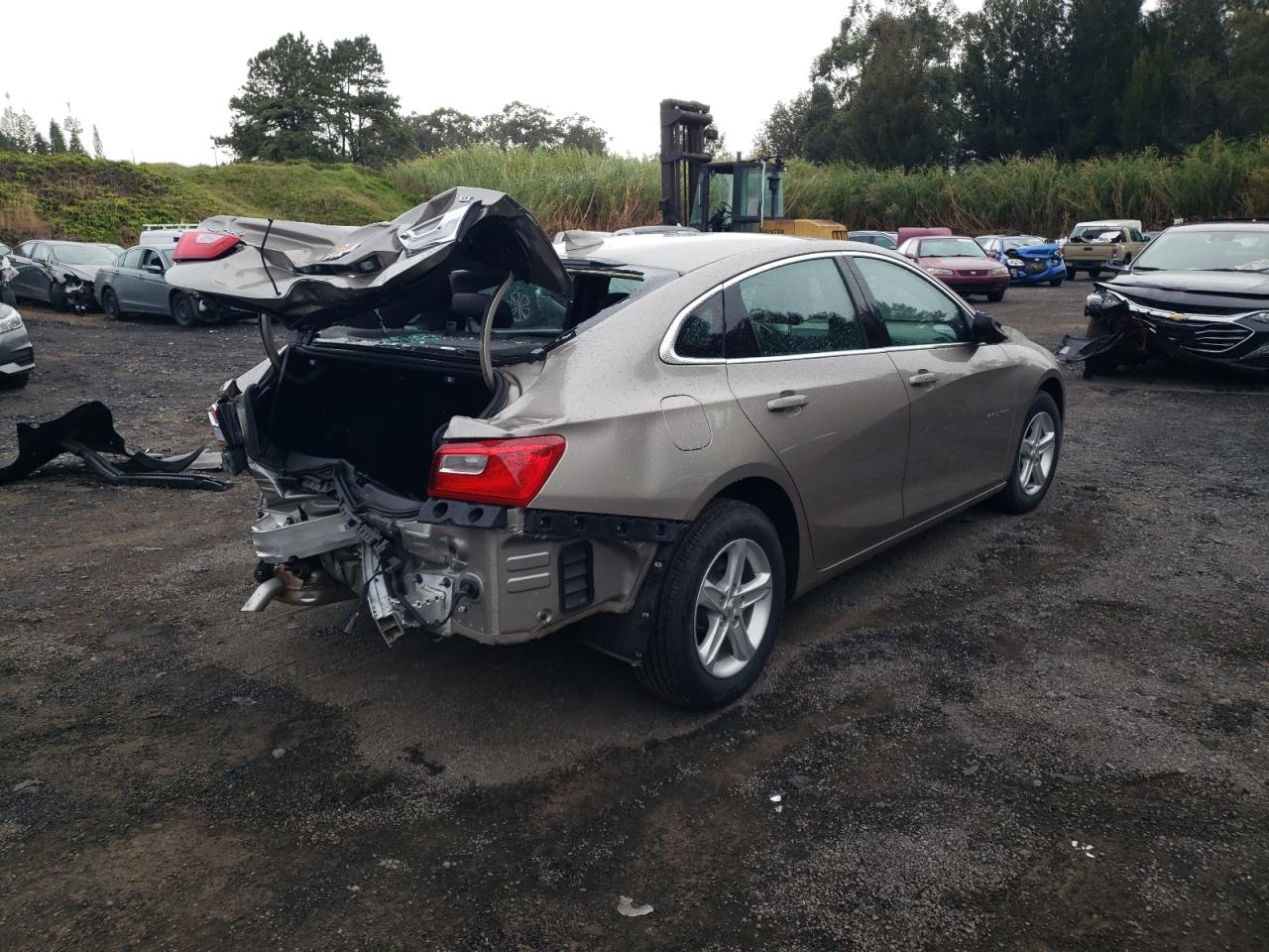 2024 CHEVROLET MALIBU LT VIN:1G1ZD5ST4RF224018