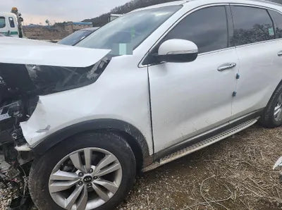 2017 Kia Sorento KNAPS81BDHA310714 VIN:KNAPS81BDHA310714