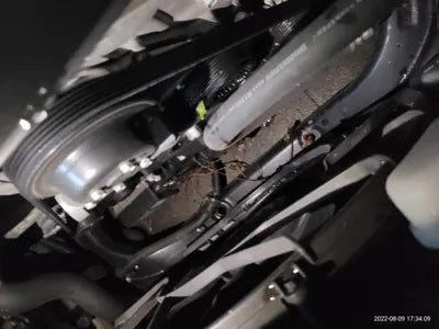 2015 acupuncture nessis 3.3 VIN: