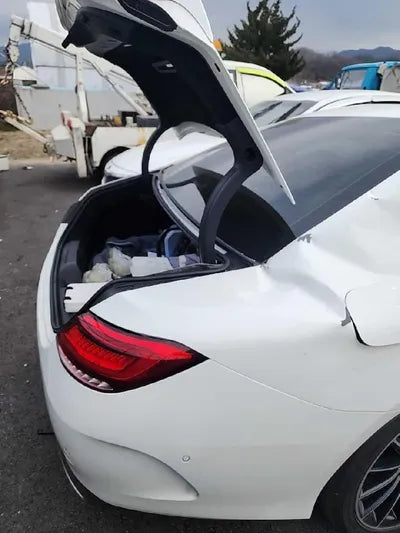 2019 Mercedes-Benz CLS 450 VIN: