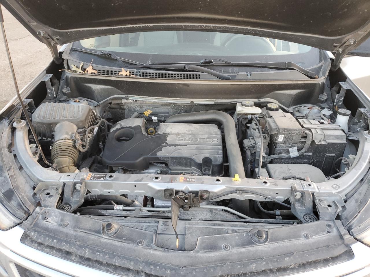 2024 CHEVROLET EQUINOX LS VIN:3GNAX5EG5RL157081