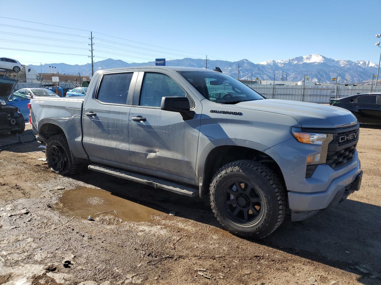 2024 CHEVROLET SILVERADO K1500 CUSTOM VIN:1NXBU40E29Z005363
