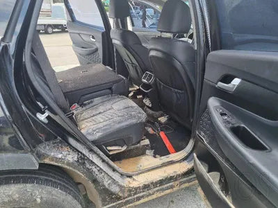2019 Hyundai Santa FE KMHS281BBLU190042 VIN:KMHS281BBLU190042