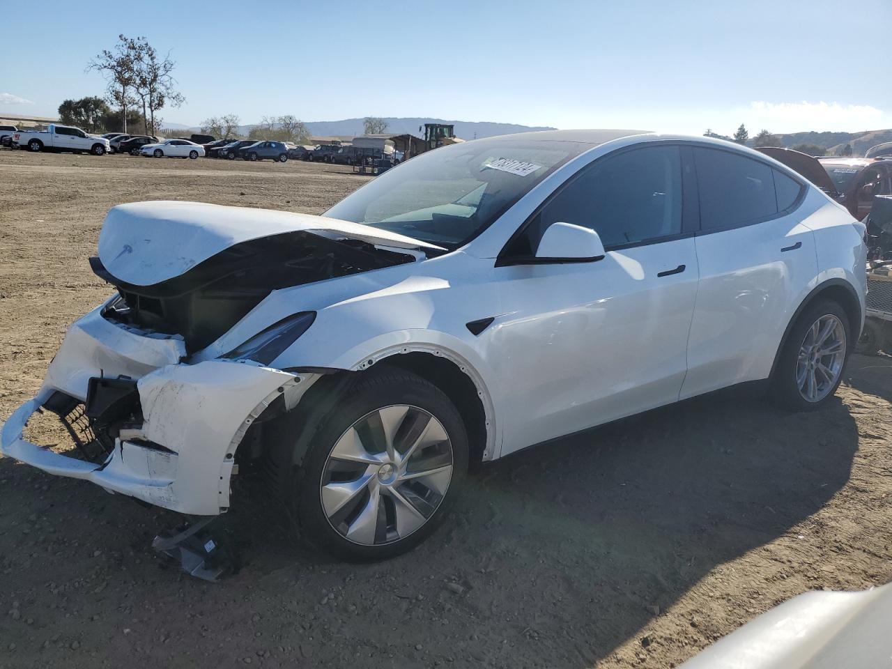 2024 TESLA MODEL Y  VIN:7SAYGDEE8RA263734