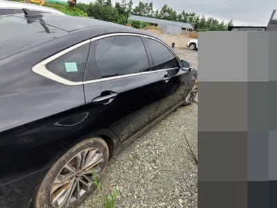 2015 acupuncture nessis 3.3 VIN: