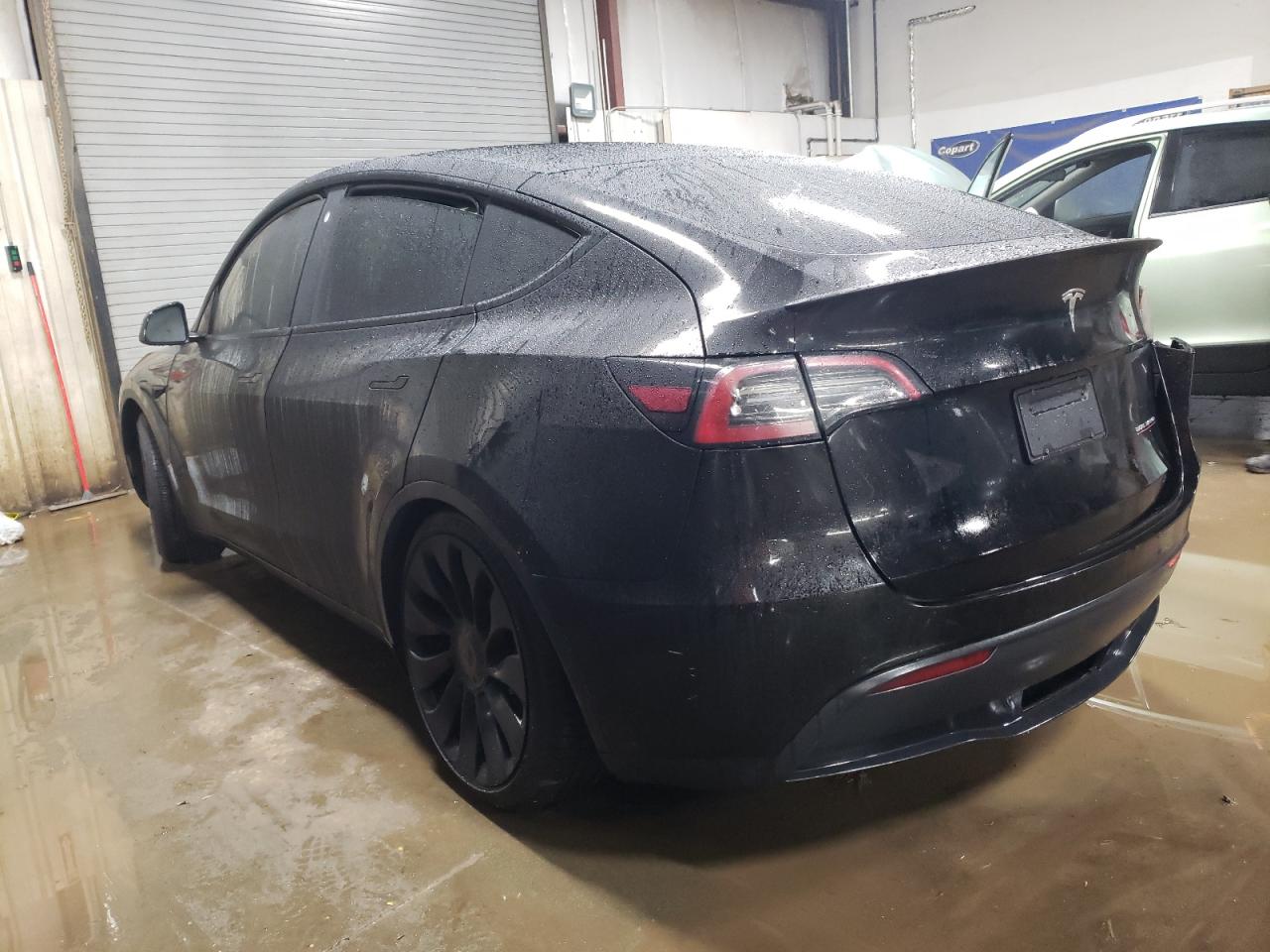 2023 TESLA MODEL Y  VIN:7SAYGDEF7PF584348
