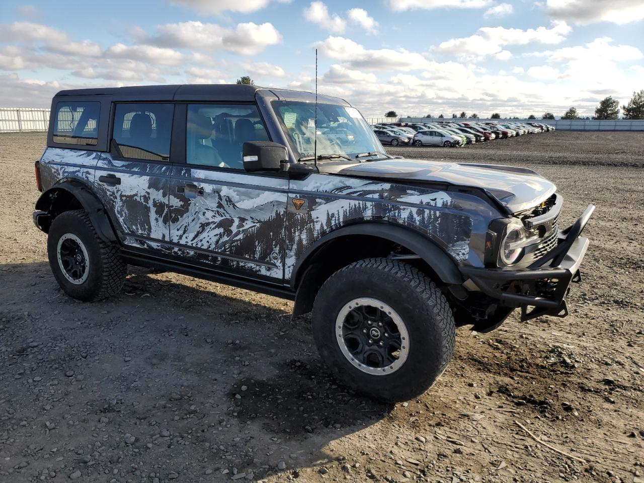 2023 FORD BRONCO BASE VIN:1FMEE5DP9PLA95898