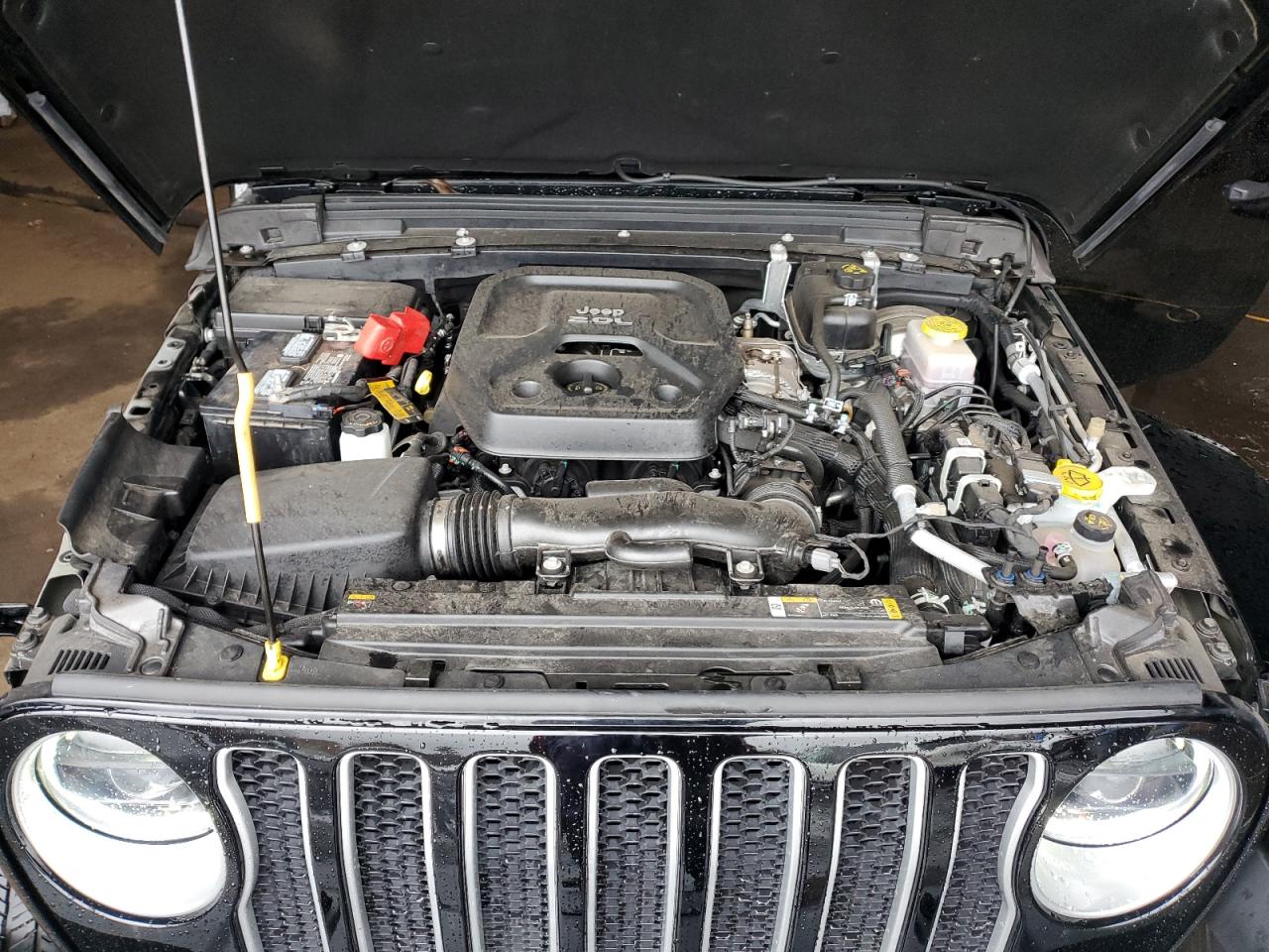 2023 JEEP WRANGLER SAHARA VIN:1C4HJXEN8PW573104