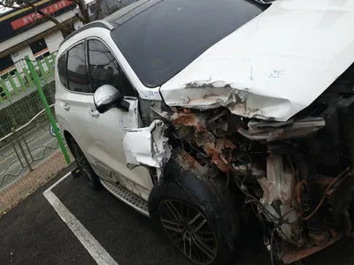 2018 Hyundai Santa FE KMHS581CDKU124309 VIN:KMHS581CDKU124309