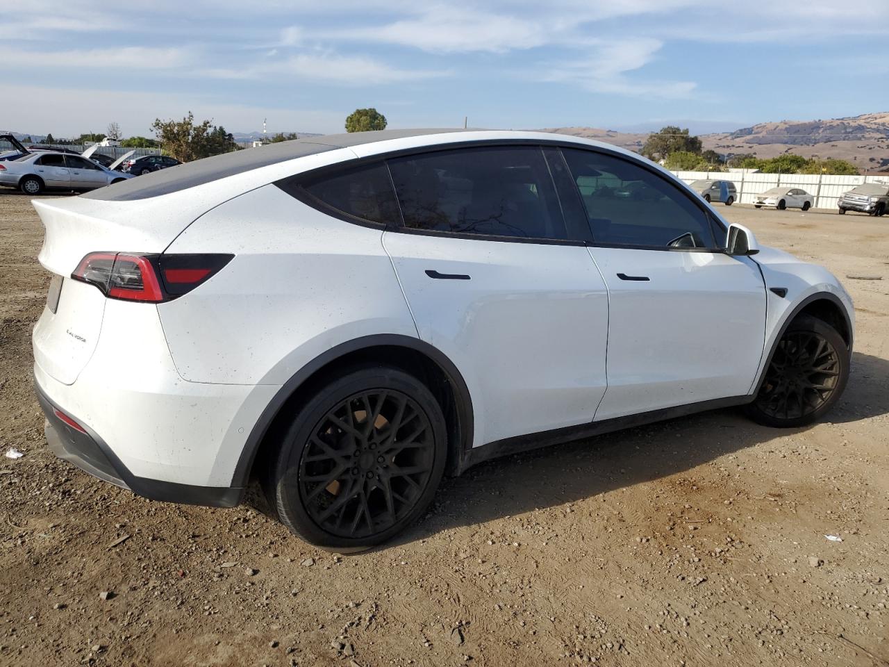 2023 TESLA MODEL Y  VIN:7SAYGDEE6PF583151