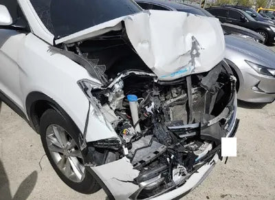 2018 Hyundai Santa FE KMHSW81UBJU804942 VIN:KMHSW81UBJU804942