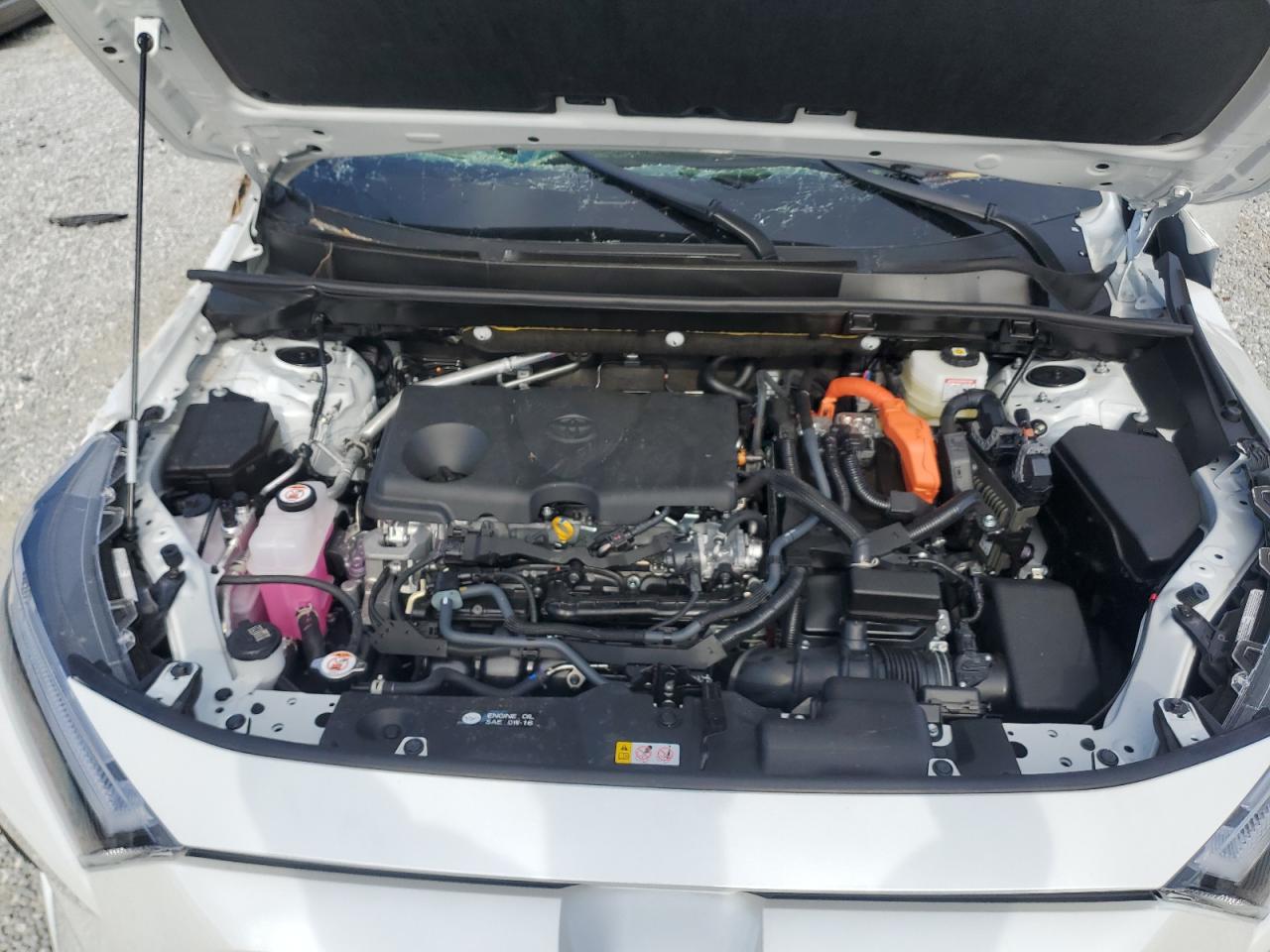 2024 TOYOTA RAV4 LIMITED VIN:JTMD6RFV3RJ058330