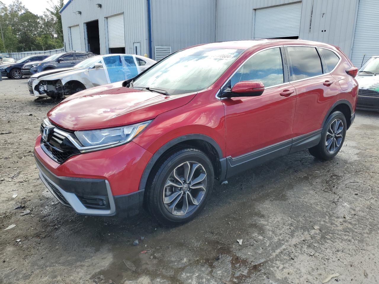 2022 HONDA CR-V EXL VIN:7FARW2H87NE026359