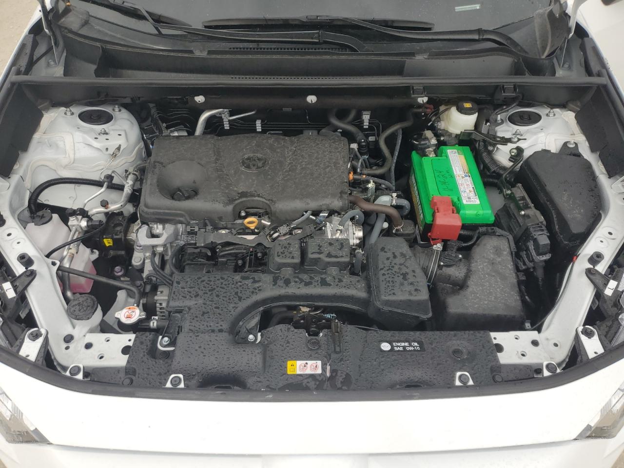 2023 TOYOTA RAV4 XLE VIN:2T3W1RFVXPW251077