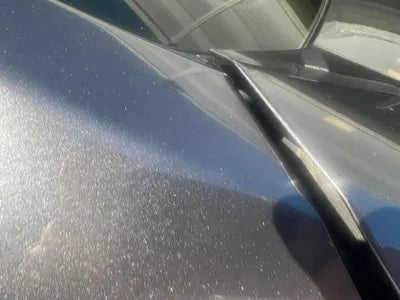 2019 Honda Accord VIN: