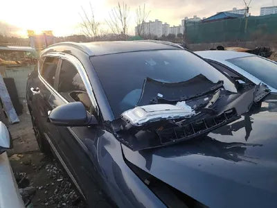 2019 Hyundai Tucson KMHJ581ABKU106662 VIN:KMHJ581ABKU106662