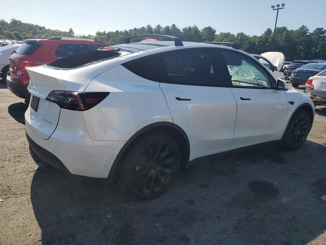 2022 TESLA MODEL Y  VIN:WP0AA2A8XNS255297