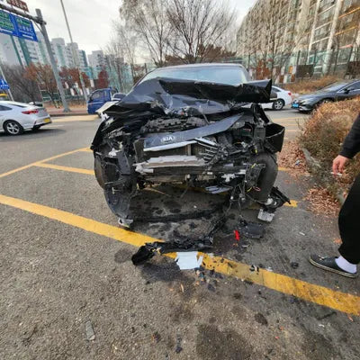 2017 Kia Carnival KNAMB81ABJS422650 VIN:KNAMB81ABJS422650