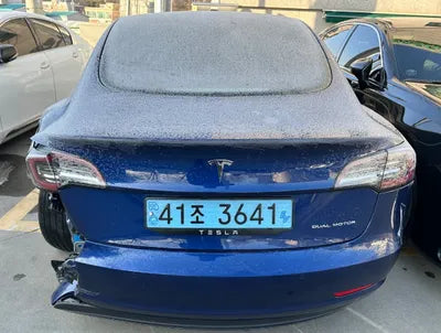 2020 Tesla Model 3 5YJ3E1EB7LF808981 VIN:5YJ3E1EB7LF808981