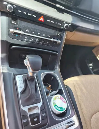 2021 Kia Carnival KNANB81BBMS042003 VIN:KNANB81BBMS042003