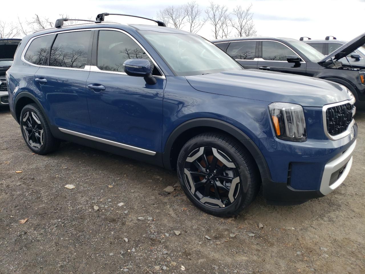 2024 KIA TELLURIDE EX VIN:5XYP34GC2RG561966