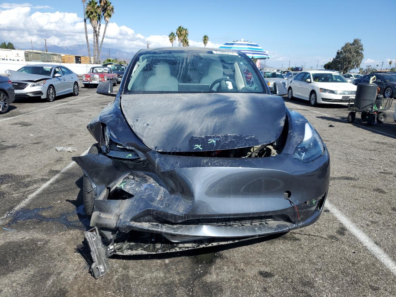 2023 TESLA MODEL Y  VIN:7SAYGDED1PF964686