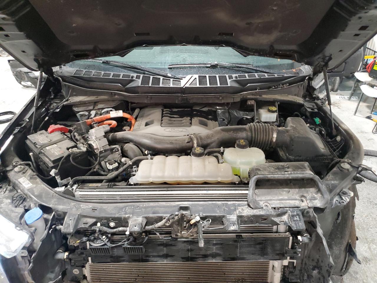 2023 FORD F150 SUPERCREW VIN:1FTFW1ED6PFD07917