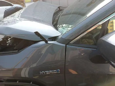 2021 Toyota RAV4 JTMDWRFV3MD089715 VIN:JTMDWRFV3MD089715