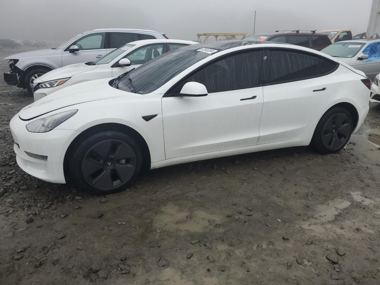 2023 TESLA MODEL 3  VIN:5YJ3E1EA5PF602314