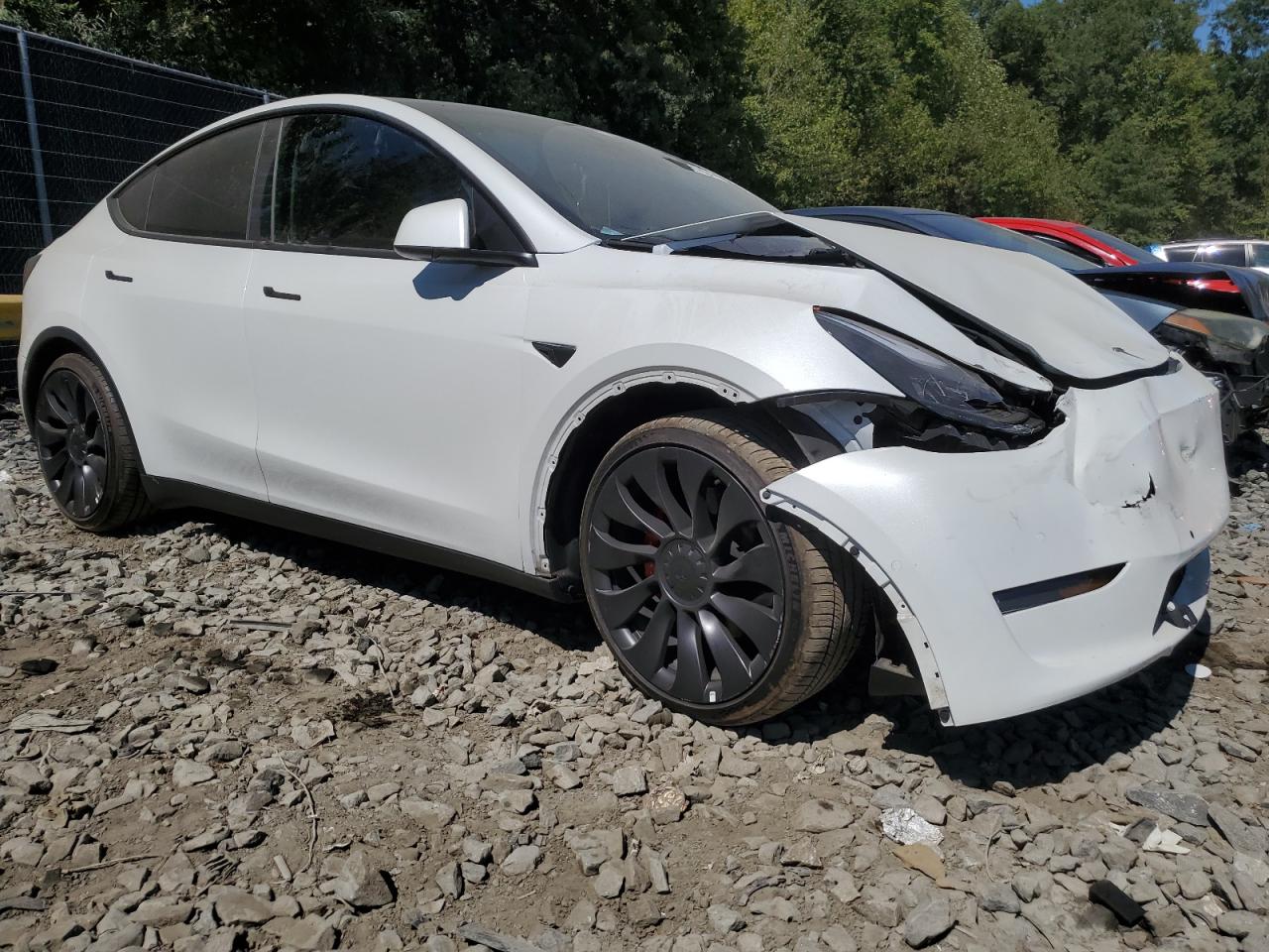 2022 TESLA MODEL Y  VIN:7SAYGDEF9NF463043
