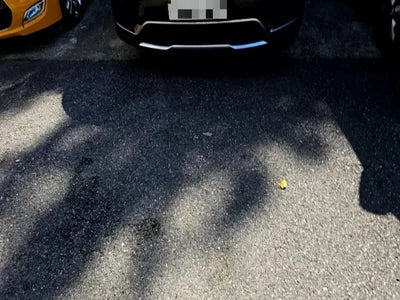 2020 Kia Carnival VIN: