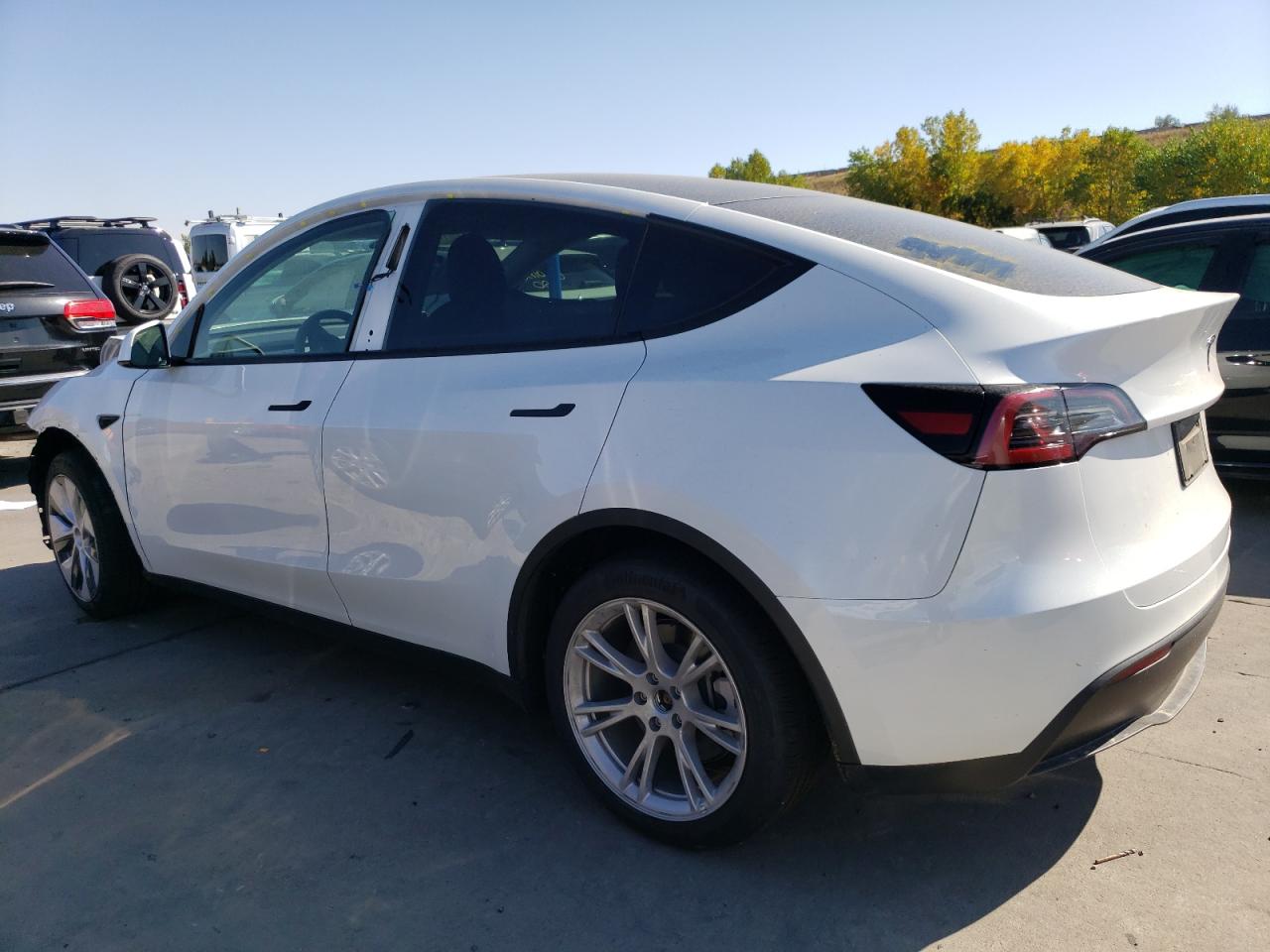 2023 TESLA MODEL Y  VIN:7SAYGDEE2PF703494