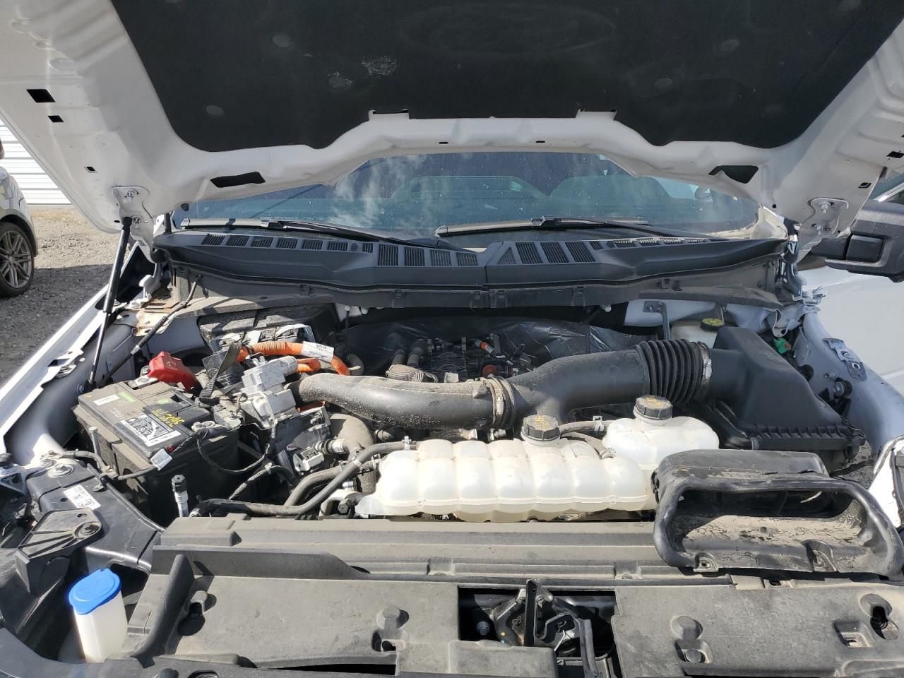 2024 FORD F150 XLT VIN:1FTFW3LDXRFB07219