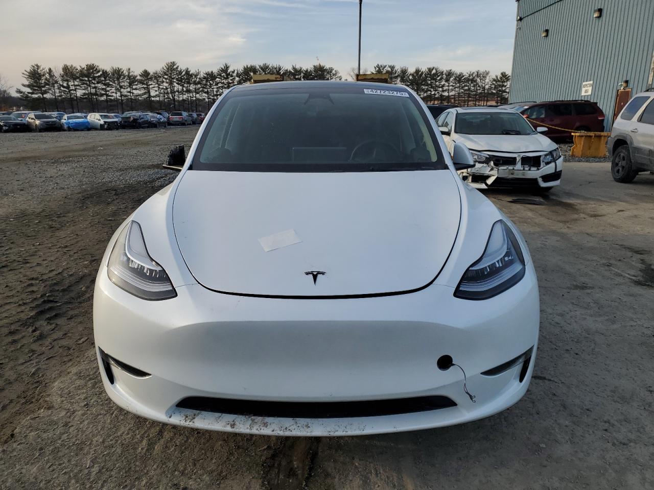 2023 TESLA MODEL Y  VIN:7SAYGDEE2PA099975