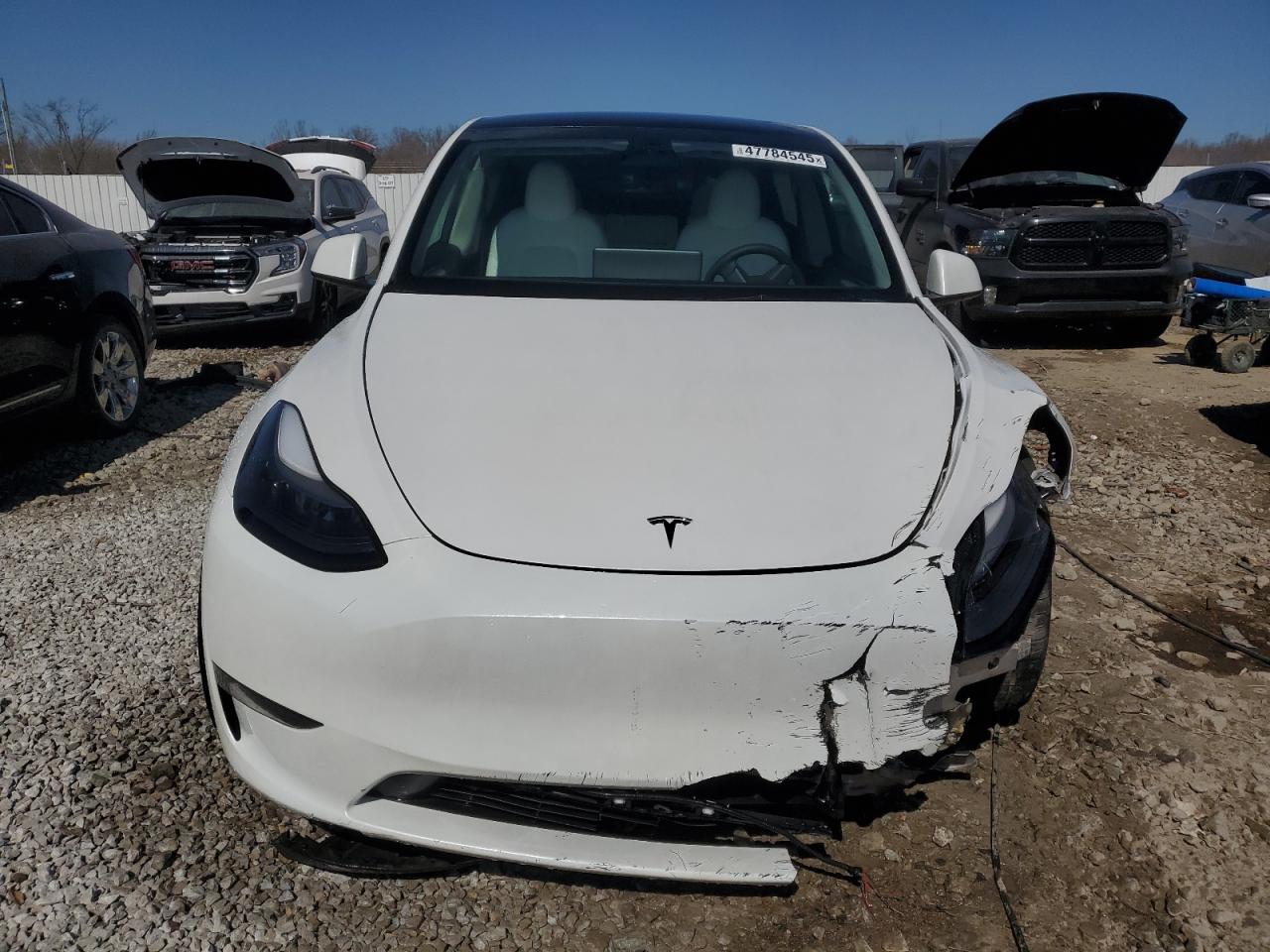 2023 TESLA MODEL Y  VIN:7SAYGDEE5PF691745