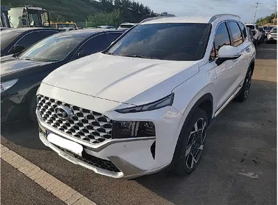 2021 Hyundai Santa FE KMHS381HGMU315041 VIN:KMHS381HGMU315041