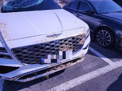 2023 Genesis GV80 VIN: