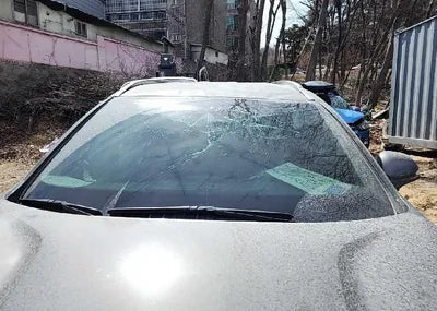 2019 Hyundai Santa FE KMHS281BBKU176591 VIN:KMHS281BBKU176591